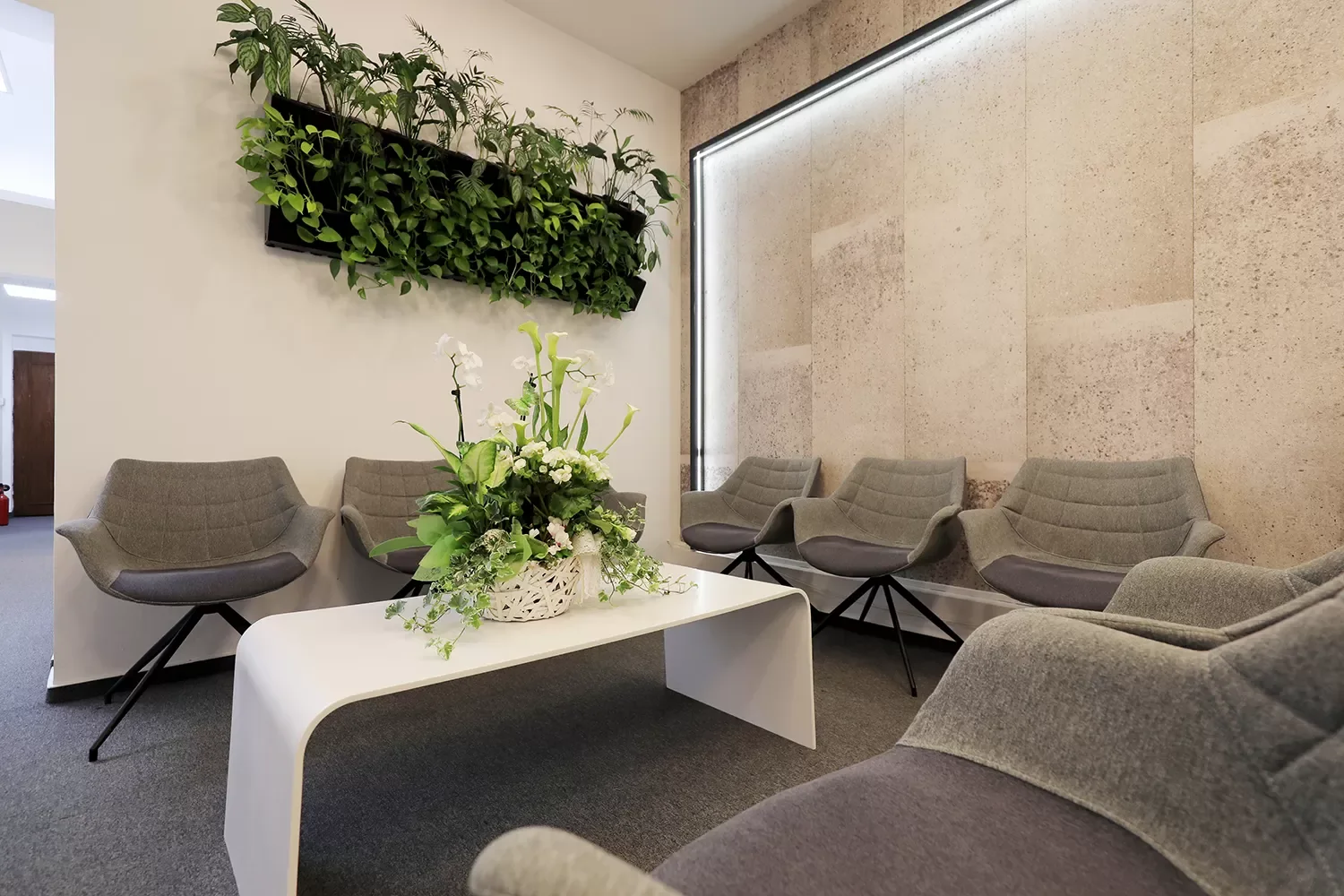 Dermestetica — design interior MDK² Studio